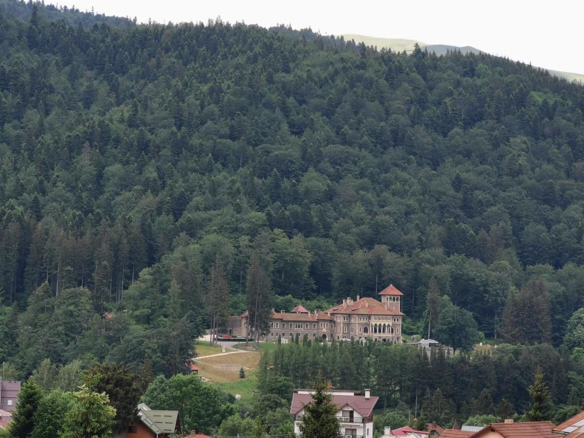 Hotel Iri Buşteni Exterior foto